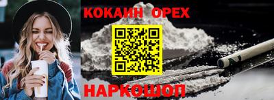 крисы Будённовск