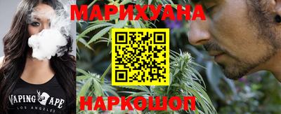 крисы Будённовск