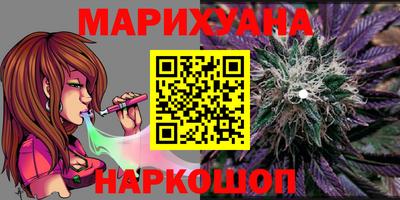 крисы Будённовск