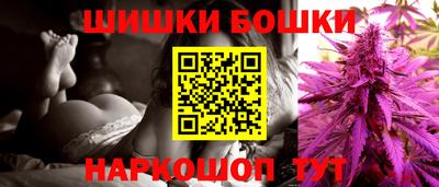 крисы Будённовск